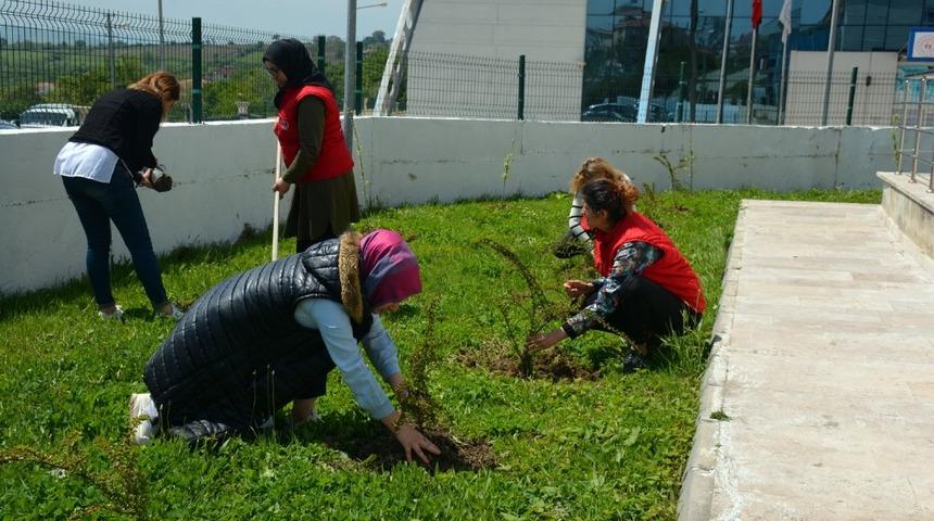 Sinop&rsquo;ta 19 Mayıs&rsquo;a &ouml;zel 19 fidan