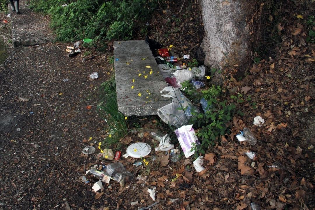 Erasmus &ouml;ğrencileri, Sapanca G&ouml;l&uuml;&rsquo;nde temizlik faaliyetinde bulundu