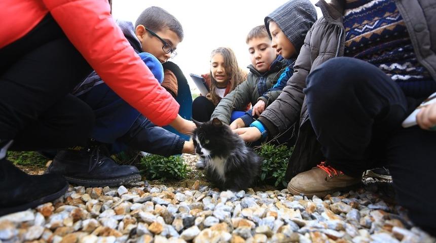 Başkan G&uuml;r&uuml;n&rsquo;den &ccedil;ağrı: "Satın almayın sahiplenin"