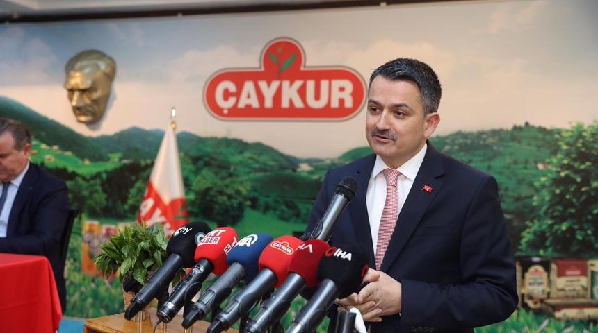 2019 yaş çay alım fiyatı açıklandı: Destekleme dahil 3,03 TL