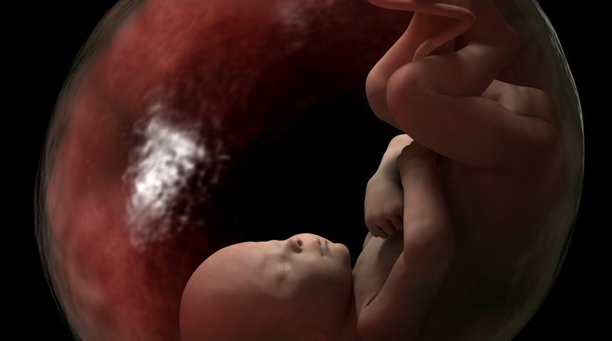 Kürtaj oranlarının doğum oranını geçtiği ülke: Grönland