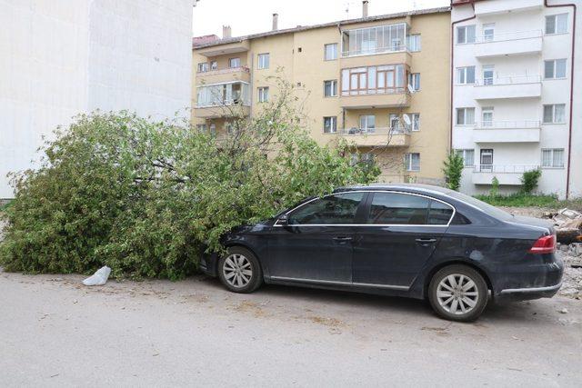 Rüzgar hasara neden oldu