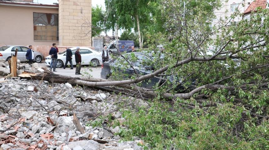 R&uuml;zgar hasara neden oldu