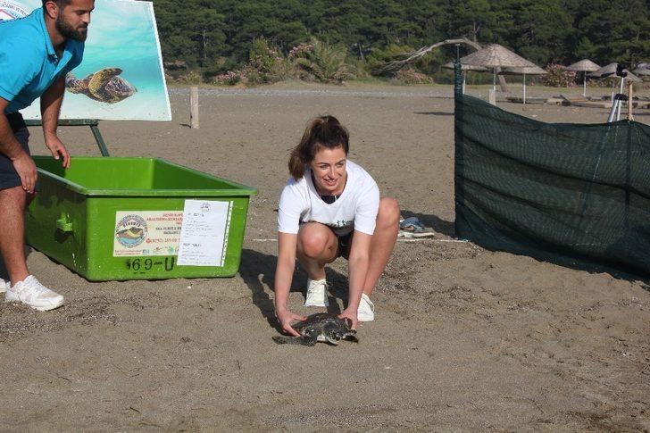 İngiltere güzellik kraliçesi kaplumbağayı denize bıraktı G1