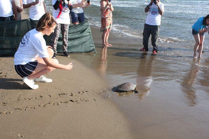 İngiltere güzellik kraliçesi kaplumbağayı denize bıraktı G4