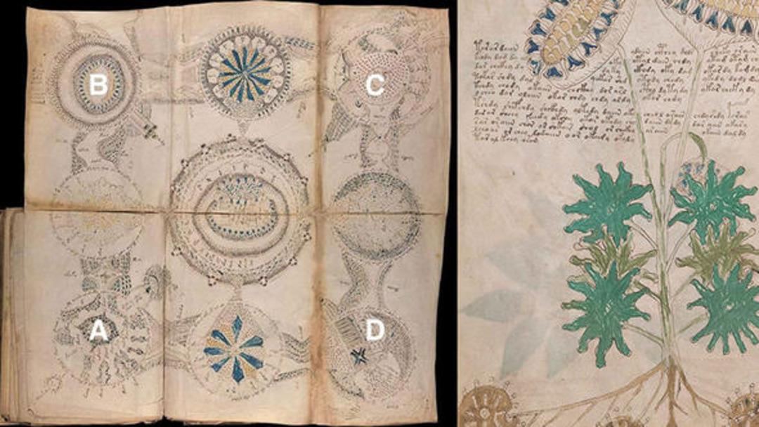  D&uuml;nyanın en gizemli kitabı Voynich El Yazması deşifre edildi! 
