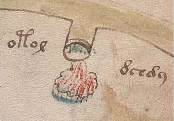  Dünyanın en gizemli kitabı Voynich El Yazması deşifre edildi!  G3