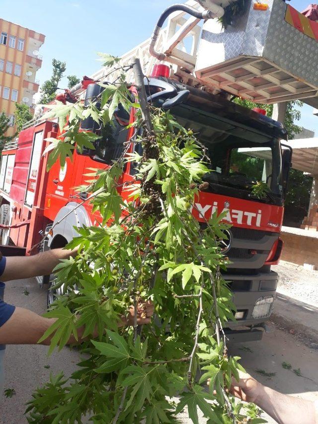 Firar eden arıları itfaiye sahibine teslim etti