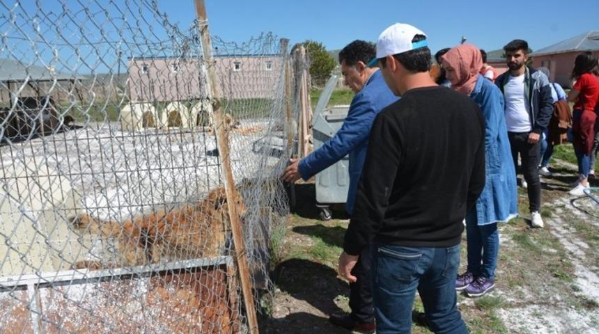 Başkan ve &ouml;ğrenciler hayvan barınağında