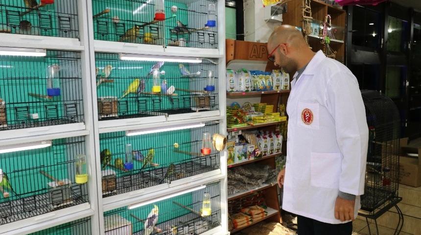 Ev ve s&uuml;s hayvanı satış yerleri denetleniyor