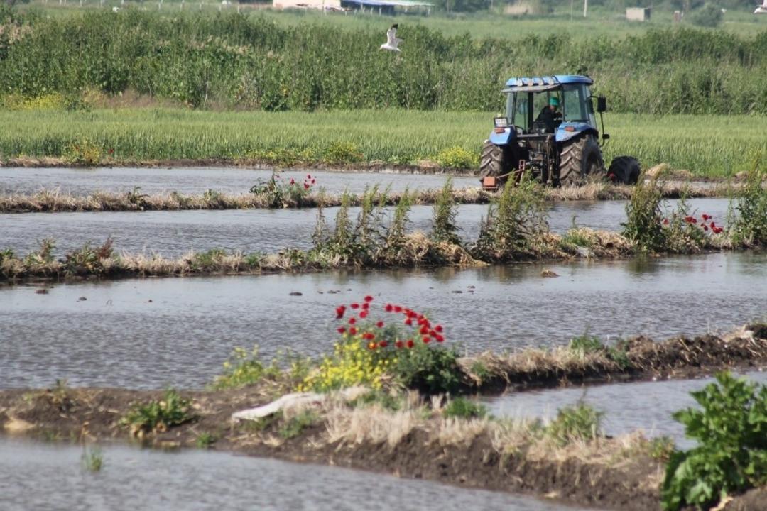 &Ccedil;eltik su ile buluştu