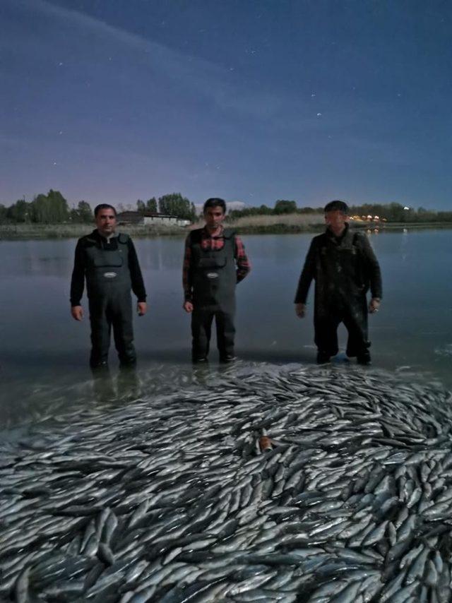 Van’da kaçak avlanmış 3 ton balık ele geçirildi