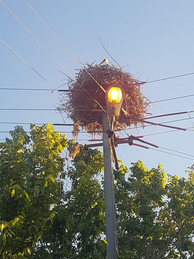 Leylekler için kuleli ve izolasyonlu yuva