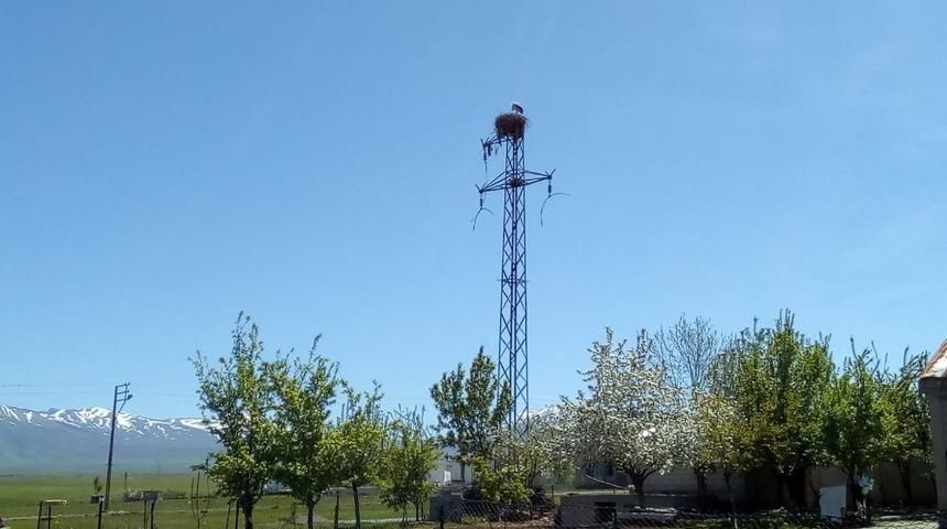 VEDAŞ ekiplerinin doğal hayat hassasiyeti