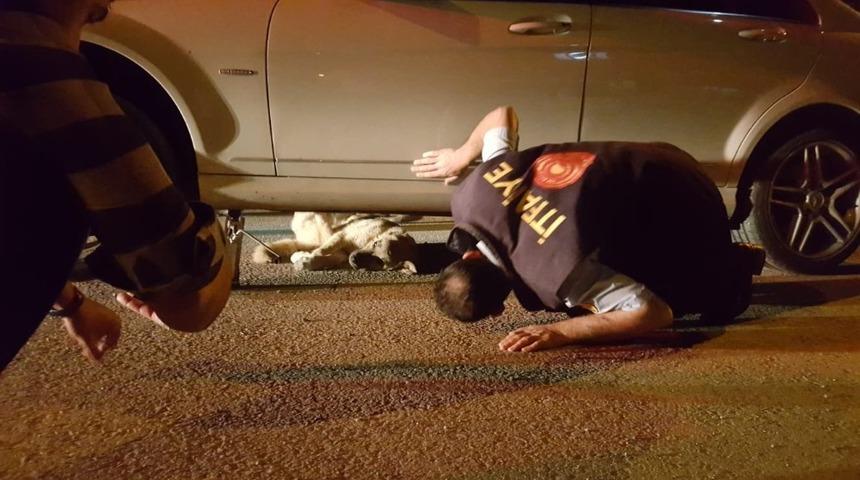 Otomobilin altında sıkışan köpek kurtarıldı
