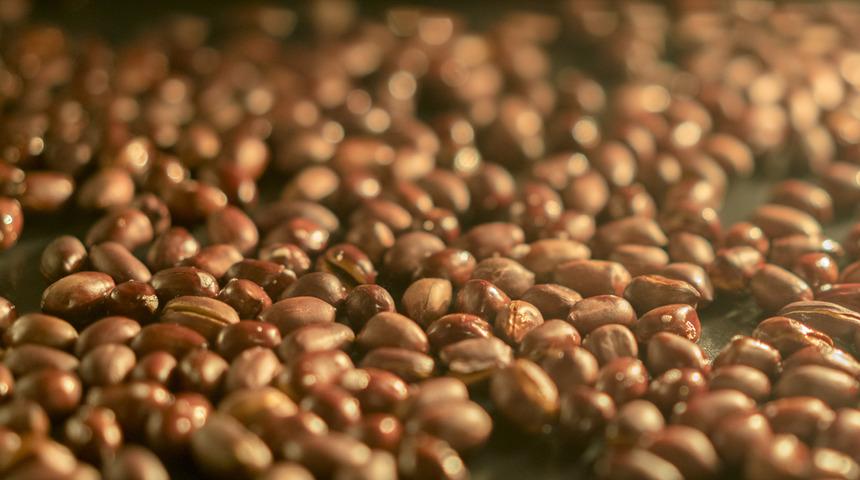 Hafızayı g&uuml;&ccedil;lendiren 6 &ouml;nemli besin