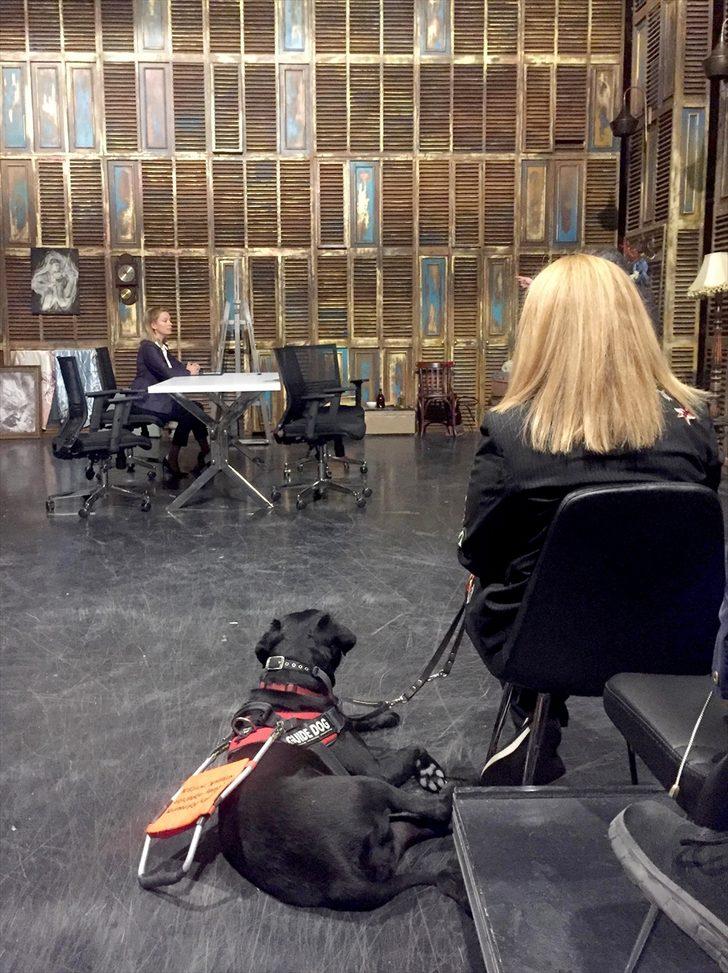 Türkiye'de ilk! Görme engelliler tiyatro oyunlarına artık rehber köpeklerle gelecek G3