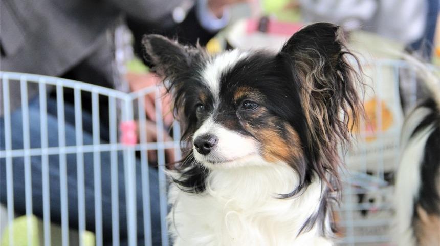 (&ouml;zel) T&uuml;rkiye&rsquo;de ilk defa &uuml;retildi