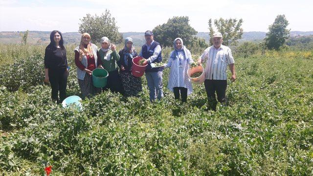 Kocaeli’de çiftçilere eğitim desteği