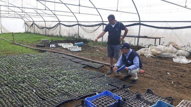 Kocaeli’de çiftçilere eğitim desteği