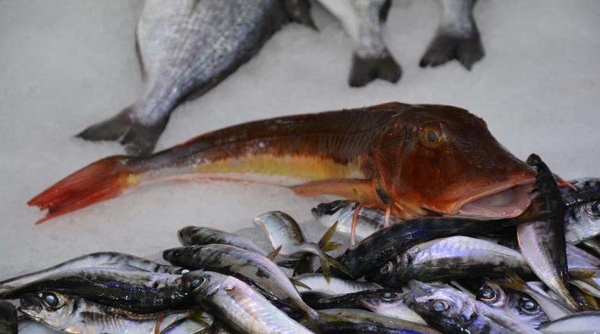 Kırlangı&ccedil; balığı 25 liradan satışa sunuluyor