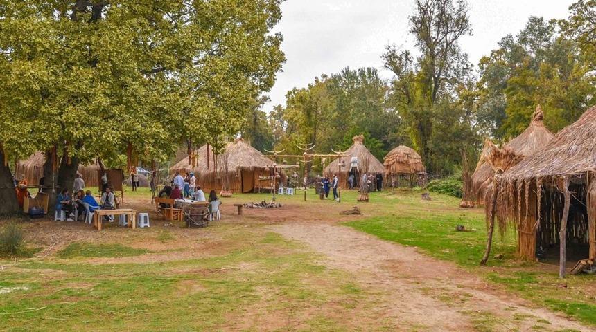 Türkiye'nin en büyük subasar ormanı: Bursa Karacabey Longozu 