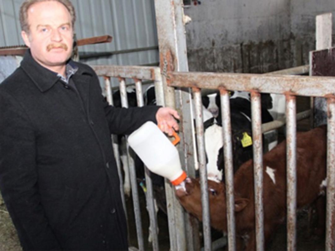 Doktorluğu bırakıp s&uuml;t &ccedil;iftliği kurdu