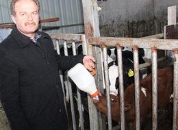 Doktorluğu bırakıp süt çiftliği kurdu