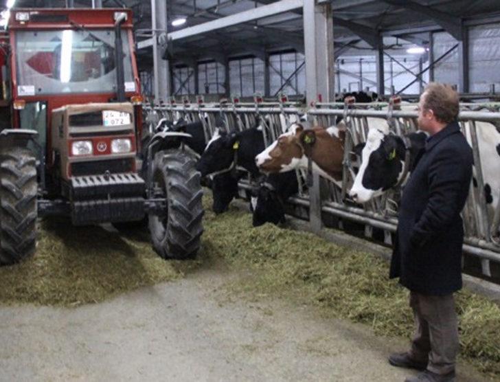 Doktorluğu bırakıp süt çiftliği kurdu G5