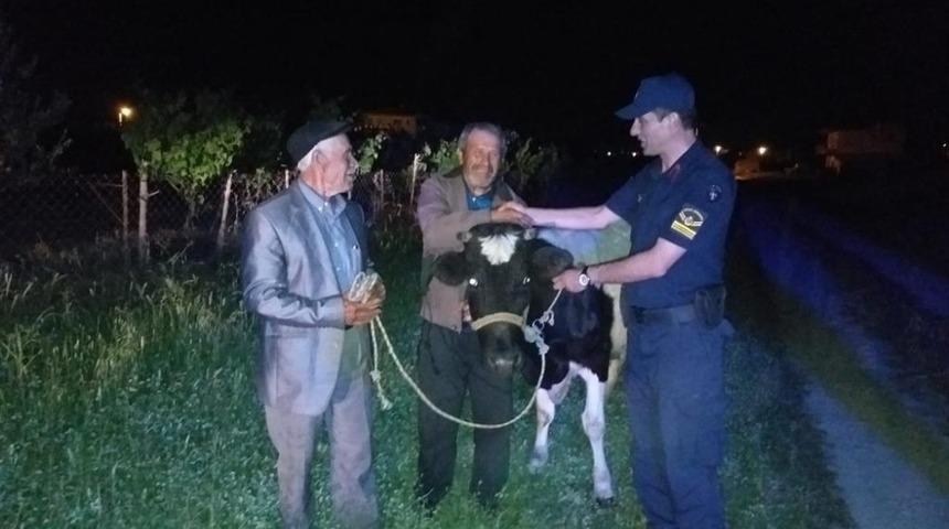 Arkadaşlarıyla beraber babasının ineğini &ccedil;aldı