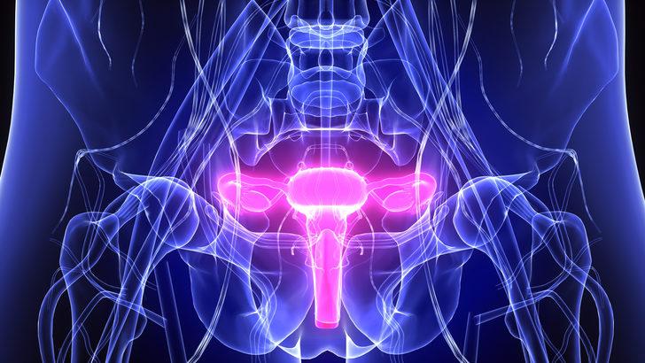 Söylemekten utanmayın! Her gün 21 kadın jinekolojik kanser nedeniyle hayatını kaybediyor G3