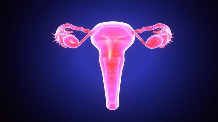 Söylemekten utanmayın! Her gün 21 kadın jinekolojik kanser nedeniyle hayatını kaybediyor G4