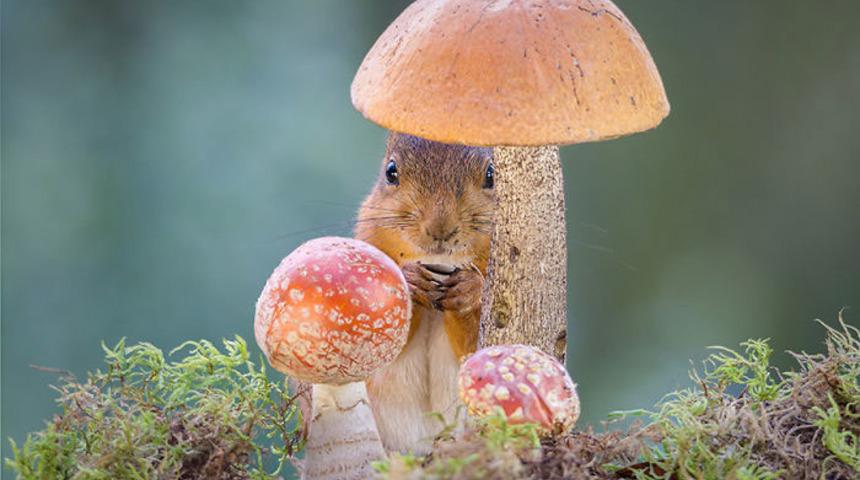 Kendisini öyle bir işe adadı ki 6 yıl uğraştı!