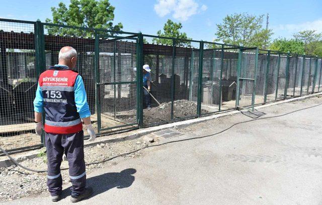 Ankara'da hayvan barınağı yenileniyor