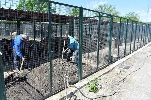 Ankara'da hayvan barınağı yenileniyor