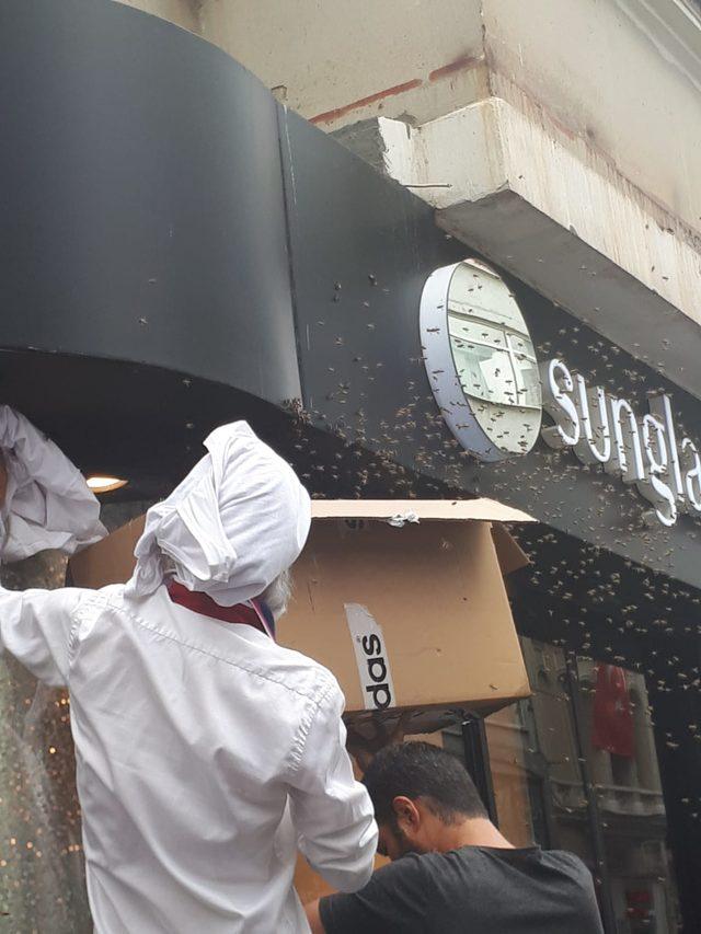 İstiklal Caddesi'nde arı paniği