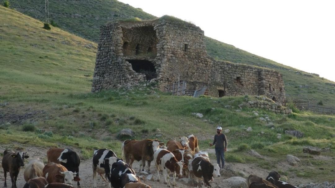 Gerc&uuml;ş&rsquo;te asırlık kasr ilgisizlikten d&ouml;k&uuml;l&uuml;yor