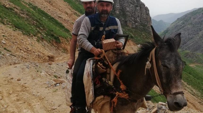 Katır sırtında arızaya gittiler