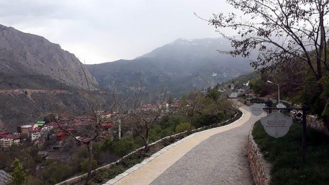 Gurbete gidenlere hasret manileri, ilçedeki tabelalarda 2