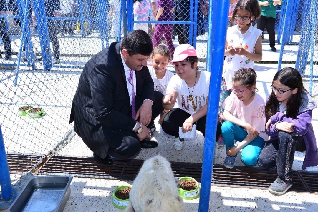 Kendileri k&uuml;&ccedil;&uuml;k, y&uuml;rekleri kocaman