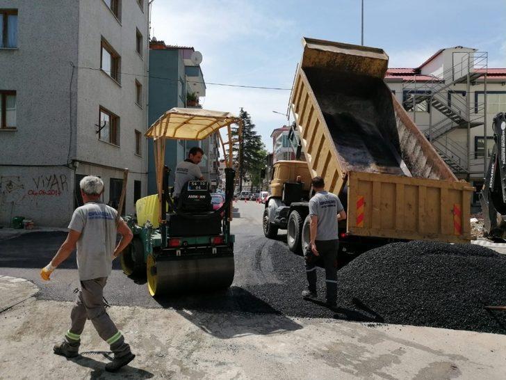 Adapazarı’nda Mahalleler yaza hazırlanıyor G2