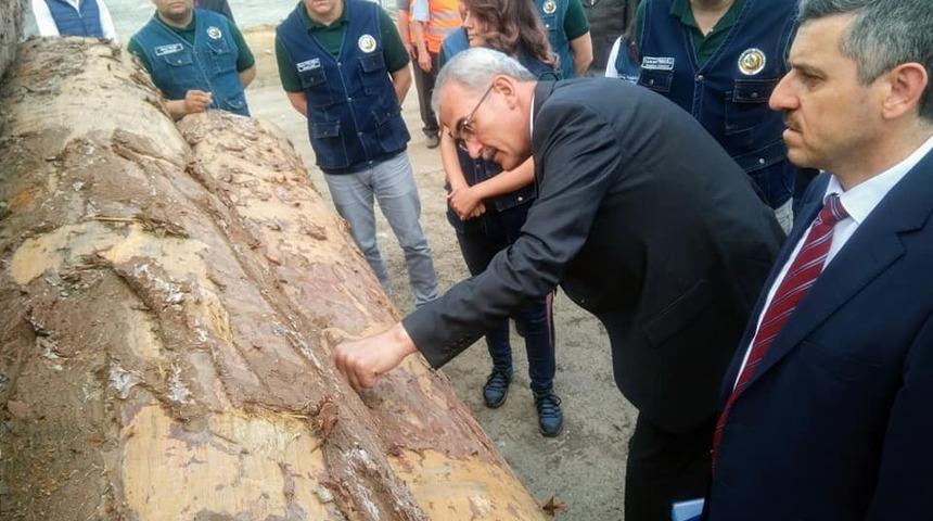 Orman Genel M&uuml;d&uuml;r&uuml; Karacabey, Kastamonu&rsquo;yu ziyaret etti