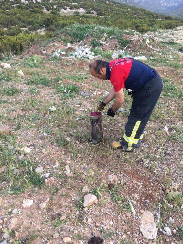 Hastanedeki yılan paniğine itfaiye son verdi