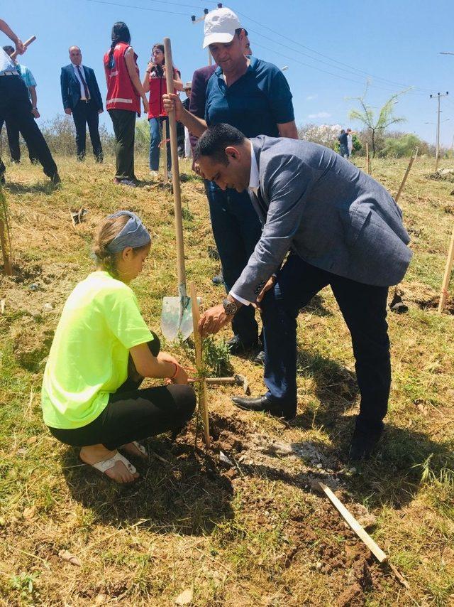 Torosla’da bin 919 adet fidan toprakla buluştu