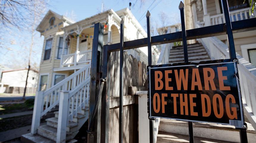 'Dikkat k&ouml;pek var' yazıyordu ama altından &ccedil;ıkan ger&ccedil;ek şoke etti!