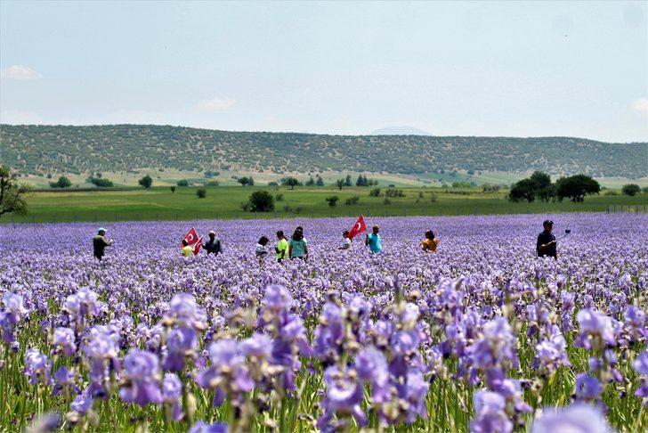 Gören makinesine sarıldı! Oraya giden büyüleniyor G1