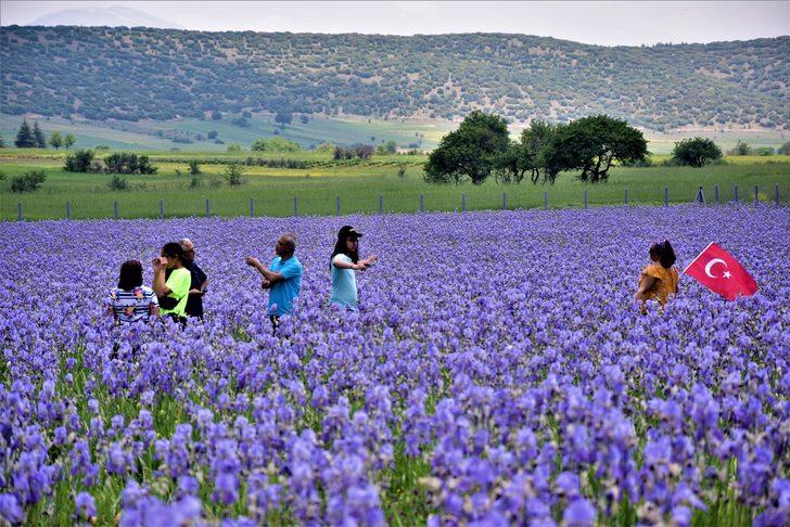 Gören makinesine sarıldı! Oraya giden büyüleniyor G2