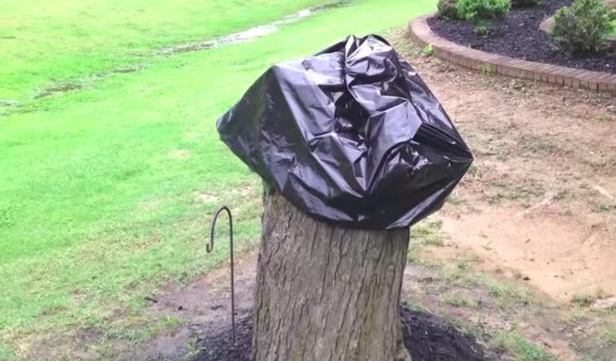 Aklınız şaşacak! Eşi bah&ccedil;edeki ağacı kesince &ouml;yle bir şey yaptı ki