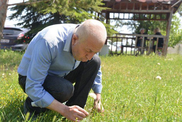 'Gripsin' denilen emekli, lösemi olduğunu öğrendi