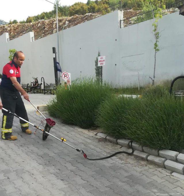 Hastane bahçesindeki yılan korkuttu